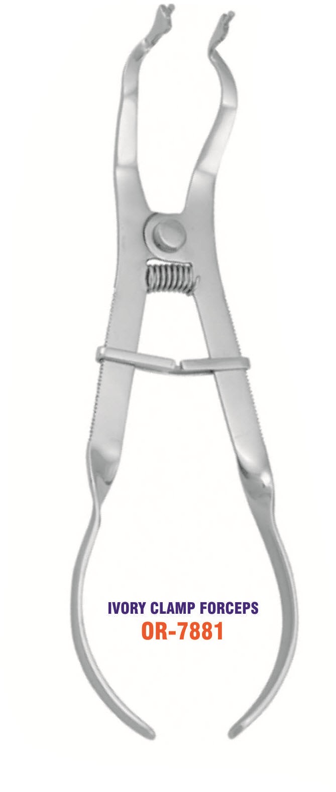 Ivory Clamp Forceps 