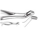 Extracting Forceps (American Pattern)   No. 210H