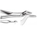 Extracting Forceps (American Pattern)   No. 286